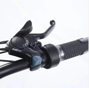 Bicicleta de Montaña de Aluminio de 48V 800W con Llantas Gruesas de 26 Pulgadas, 21 Velocidades, Motor en el Buje Trasero y Frenos Hidráulicos - Product Image 5