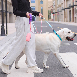 Bọt xử lý con chó Dây Xích Hợp thời trang đa màu bền dây thiết kế cho thoải mái Pet đi bộ an toàn móc lý tưởng cho chủ sở hữu chó - Product Image 6