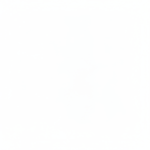 Válvulas Hidráulicas de Acero Inoxidable Ailite, Válvula Auxiliar Inteligente Sunward 50, Piezas de Excavadora al por Mayor - Product Image 1