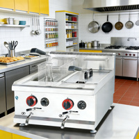 En stock: Freidora de gas de sobremesa con tanque doble de 14L+14L para patatas fritas, costillas de cerdo y pollo.