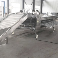 YOUBAN Fabrieks Prijs RVS Gewichtssorteermachine Automatische Fruitgewichtsgrader voor de Landbouwsector