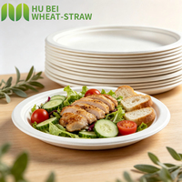 Assiette Ronde Jetable en Bagasse Biodégradable et Compostable de 9 Pouces pour Fêtes, Certifiée BPI pour Restaurants et Hôtels