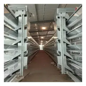 2024 hot sale cheap chicken cage poultry automatic chicken layer cage 1000 layer chicken cages
