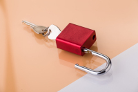FEIHUAN Usine Personnalisée Haute Qualité Cadenas En Aluminium Sécurité Canado Changement Cylindre Serrure avec Clé Déverrouiller Way Couleur Personnalisée