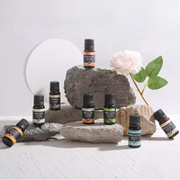 Huile Essentielle Bio Pure Personnalisée à Marque Blanche : Lavande, Arbre à Thé, Menthe Poivrée, Romarin, Rose d'Intérieur