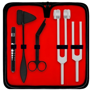 Kit de diagnostic professionnel avec marteau de réflexe de Taylor, diapasons C128 C512, lampe stylo, étui de transport – Fournisseur en gros - Product Image 1