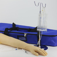 Modelo de entrenamiento de punción de vena del brazo, modelo de entrenamiento médico modelo de entrenamiento de brazo de recolección de sangre médica