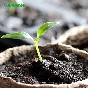 Set di 30 Vassoi per Semina Biodegradabili ed Ecologici, Accessori per Giardinaggio Domestico, per Piante, Fiori e Verdure - Product Image 4