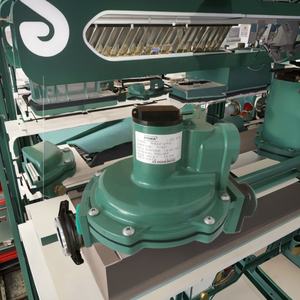 3/4 इंच धागा अंत R622-DFG एलपीजी गैस नियामक - Product Image 6