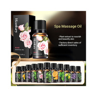 Huiles de massage corporel infusées à l'arbre à thé OEM, vente en gros d'huiles essentielles, huile de rose, gingembre, romarin, huile végétale pour spa
