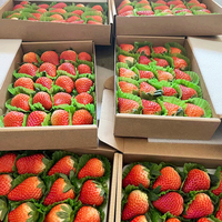 Speciale wegwerp kartonnen doos van stevig karton voor Wa Ren Paper Strawberry Sushi kauwgom aardappelchips express levering offset binnenverpakking