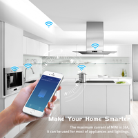 Mini Interruptor Inteligente WiFi+RF433mhz Tuya 16A DIY Con Cable Neutro Compatible Con Smart Life, Alexa y Google Home