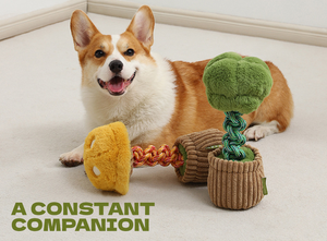 Cá Công Chúa Pet Mềm Thú Nhồi Bông Khó nhằn Tùy Chỉnh Squeaky Pet Nhai Đồ Chơi Con Chó Sang Trọng Đồ Chơi Cho <span class=keywords><strong>Chewers</strong></span> - Product Image 5