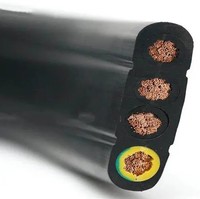 Fil/Câble de Pompe d'Irrigation Submersible Plat 14AWG~1AWG Isolation PVC/Caoutchouc 3/4 Noyaux 1.5mm2~95mm2