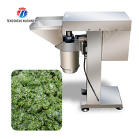 Hoge capaciteit knoflookpersmachine, stille knoflookverwerkingsmachine, knoflooksausproductie-industrie