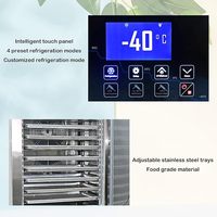 Congélateur coffre de boulangerie commercial robuste à 10 plateaux, à température unique, avec refroidissement par ventilateur et congélation rapide à l'air, -36 à -40°C
