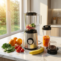 Blender portable en acier inoxydable haute vitesse, moteur 800W, pot de 1,6L, anti-fuite, appareil de cuisine avec 3 vitesses pour usage domestique