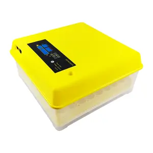 Chick Master Voor Koop Klein Ei Uitkomen Machine Temperatuur En Vochtigheid Controller Plastic Lade Vis Professionele Incubator