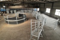 Sistema de Corrales para Ganado Galvanizado de Alta Calidad, Paneles de Cerca para Ganado y Fabricante de Equipos para Corrales