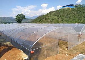 Agricola Del Cerchio Serra Telaio Polytunnel Casa Verde - Product Image 2