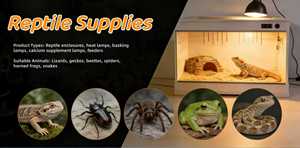 Boîte d'alimentation antidérapante en verre pour terrarium/vivarium pour reptiles, amphibiens et plus - Conteneur d'habitat biologique - Product Image 5