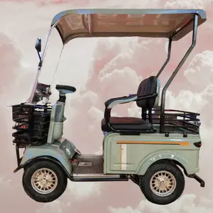 Factory Direct Sales Four-Wheel Electric Rickshaw Leisure Dual Use For Passenger Cargo With Roof Steel Frame Rear Hub Motor