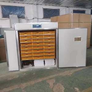 Machine à couver automatique 5280 pour œufs de poule de volaille Incubateurs solaires ou électriques pour œufs de poule - Product Image 6