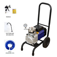 Pulvérisateur de Peinture Électrique 4200 W Haute Pression, Usage Industriel et Bricolage, Godet 5 L, Alimentation par Batterie, Pistolet Airless