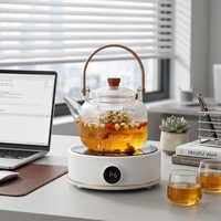 Mini-cuiseur électrique portable en céramique à chauffage par serpentin pour voiture et extérieur, avec commande par bouton et arrêt automatique, pour usage domestique et économe en énergie