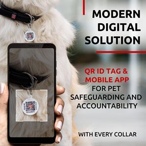 DB Luxury Ultra Soft Rolled PU Collar de perro de cuero para perros pequeños medianos 13-16 pulgadas Collar de perro acolchado suave para hombre y mujer - Product Image 3