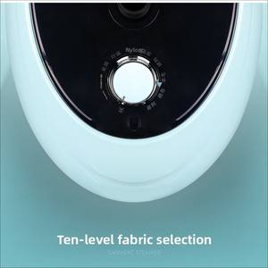 Pequeno Household & Commercial Máquina De Engomar Vertical Garment Steamer para Vestuário Loja De Energia Elétrica Fonte Artefato - Product Image 4