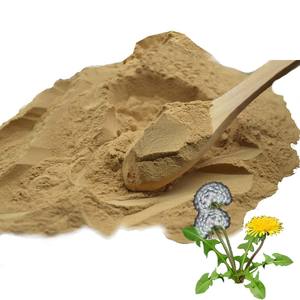 Extracto Natural de Diente de León 10:1, Soluble en Agua, Elimina el Calor y Desintoxica, Ingrediente de Suplemento para la Salud - Product Image 2