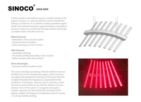 SINOCO OEM App Control écran tactile Redlight 660nm 850nm Led infrarouge cheval Solarium dispositif lampe de thérapie par la lumière rouge