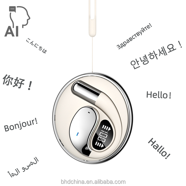 AI 140+ Language  Voice  Translating  Online Wireless Bluetooth   Earbuds Real Time for Business Travel Learning Metting