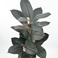 Vente en gros d'arbre artificiel en feuilles de figuier de 95 cm, plante en caoutchouc artificielle pour la décoration intérieure, hall d'hôtel, restaurant