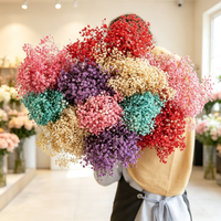 Offre Spéciale : Fleurs de Gypsophile Préservées, Bouquet Million Stars Séché, Fleur Naturelle Faite à la Main pour Mariage et Décoration Intérieure