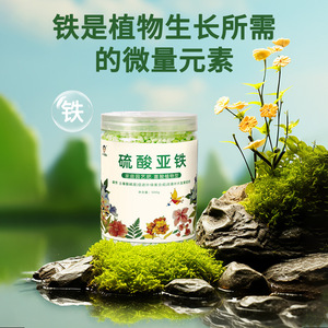 Engrais pour fleurs au sulfate ferreux 500g granulaire pour plantes acharment acides Gardenia Jasmine Cycads - Product Image 2