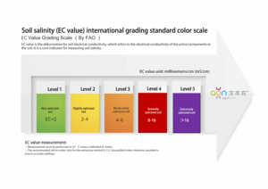 Agrinorm EC DOWN Reductor de Sal Profesional, Eliminador de Toxicidad Salina, Promotor del Crecimiento, Alivia Rápidamente el Retardamiento y la Clorosis de las Plántulas - Product Image 4