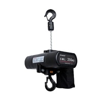 Palans électriques de scène 250 kg, moteurs à chaîne pour treillis, étanches IP66, palans électriques à chaîne auto-grimpants pour scène