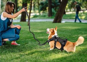 Harnes anjing terlaris dengan pegangan pendukung untuk anjing Senior dan anjing terluka, dapat disesuaikan untuk berjalan dan membawa anjing - Product Image 4