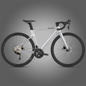 Vélo de course sur route en carbone R10Pro Disc (Gen 2) 22 vitesses 700C Professionnel avec guidon 3K et jeu de roues en aluminium R10Pro en fibre de carbone - Product Image 4