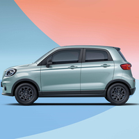Comprar coches eléctricos baratos Leapmotor T03 2024 200 qinxiang 4 plazas coches usados de largo alcance 2023 2024 edición coches eléctricos para adultos