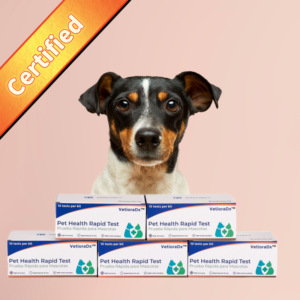 Feline máu đánh máy nhanh chóng Kit kiểm tra thú y kiểm tra Strips để xác định một con mèo của nhóm máu - Product Image 6