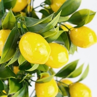 Plante bonsaï décoration de balcon intérieur Faux petit arbre à fruits arbre à citron artificiel