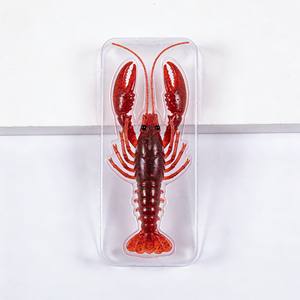 Emballage en blister transparent en PET recyclable et écologique pour leurres de pêche, emballage pour leurres de pêche de la marque XIAMN - Product Image 4