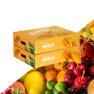 Großhandelskarton Gemüse Obst Aufbewahrung wellpappe-box Verpackung frische Tomaten-Obstkartons