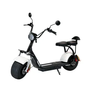 EU USA magazzino a buon mercato grasso pneumatico Scooter elettrico Citycoco 2000W 3000W E moto Top Sale