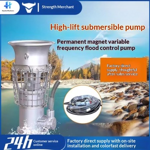 Bomba Sumergible Portátil de Acero Inoxidable para Control de Inundaciones, Drenaje de Gran Caudal, Riego, Imán, Frecuencia Variable - Product Image 1