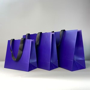 Luxury Cardboard Shopping Bag with Ribbon Handle Custom Logo Coated Paper for Food Socks Shoes Packing for Store Promotion - Product Image 2
