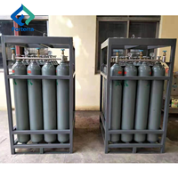 Support pour bouteilles de gaz DNV 2.7-1 Standard 12 ou 16, unité 4x4, 200 bar, 50 l, 232 mm, pour bouteilles d'azote offshore